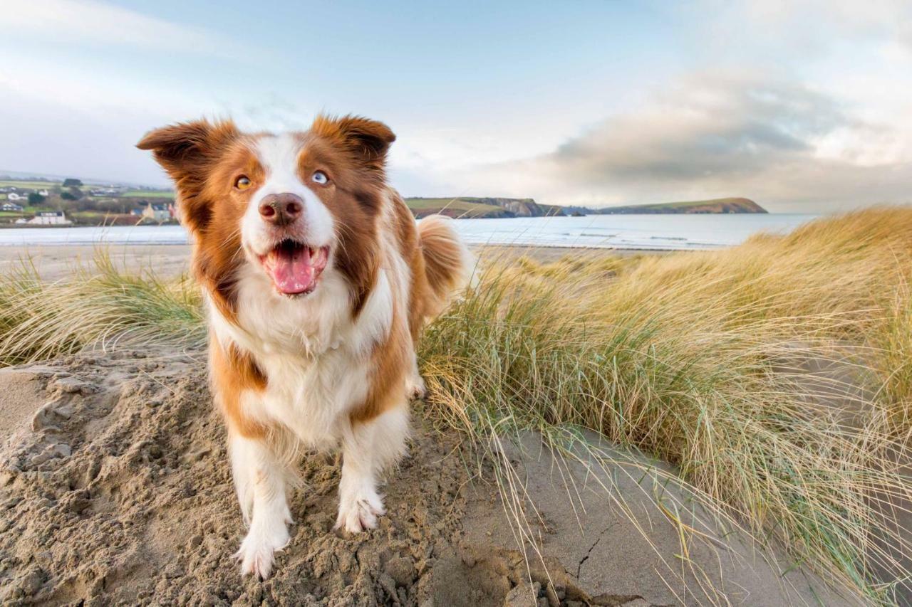 Ty Pren Bach Villa Maenclochog Bagian luar foto